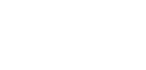 Narvagas Logo
